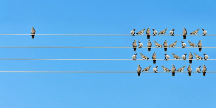 Sếp tồi hay sếp tốt, bạn học được gì từ phong cách lãnh đạo của họ?