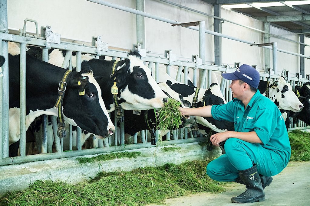 Khánh thành Nhà máy sữa đầu tiên ở Hà Nội