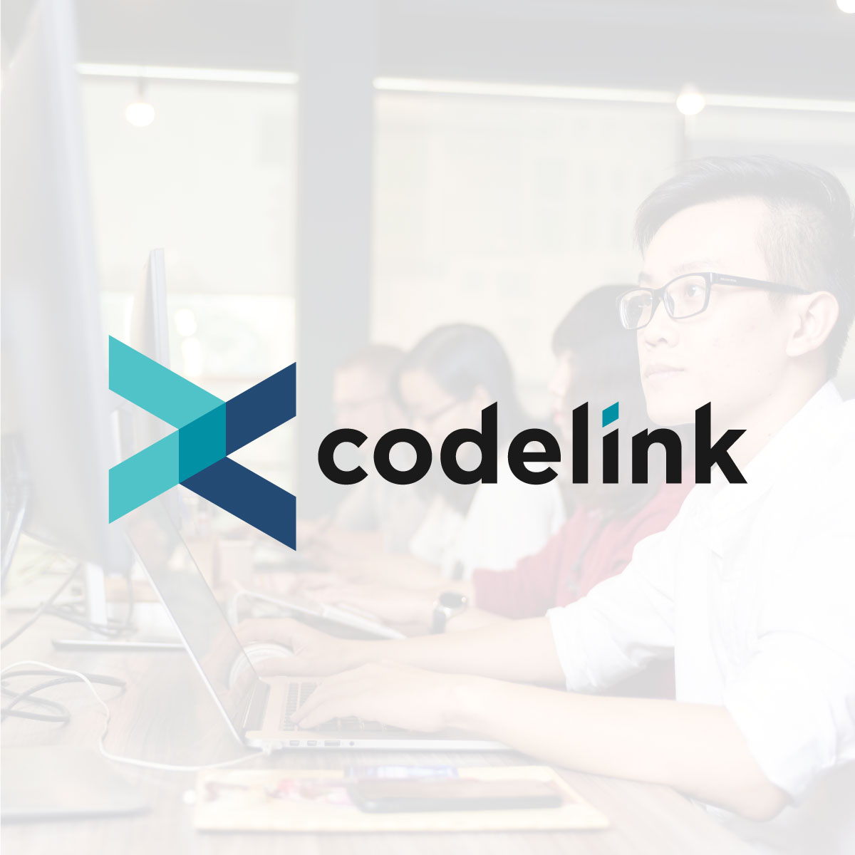 codelink v2 lans